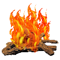 O fogo purificador do amor de Deus – Homilia XX Domingo do Tempo Comum Ano C
