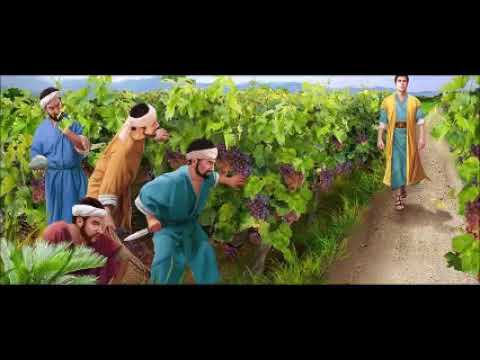 A Vinha do Senhor e os frutos esperados por Deus (XXVIIDTCA)