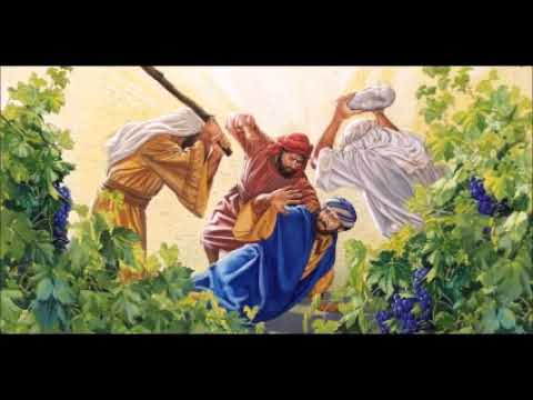 O imperativo da conversão no trabalho da Vinha do Senhor