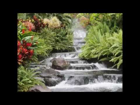 Da primavera provisória a eterna Primavera de Deus