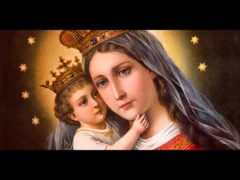 Salve, Rainha